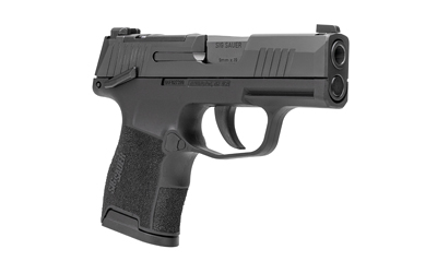 SIG P365 MS 9MM 3.1" 10RD BLK NS MA - Image 3