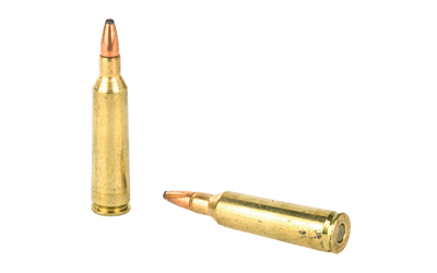 REM 22-250 55GR PSP 20/200 - Image 4