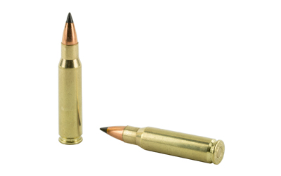 NOSLER VG 308WIN 110GR FB TIP 20/200 - Image 4