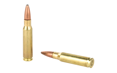 REM 308WIN 180GR PSP CL 20/200 - Image 4