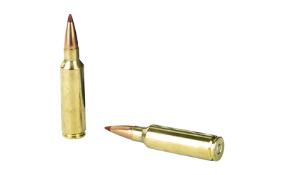 HRNDY PH 300WSM 200GR ELD-X 20/200 - Image 4