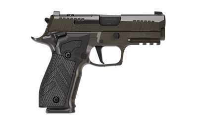 SIG 226 XLGN DA/SA 9MM 3.8" 18RD GRY - Image 2